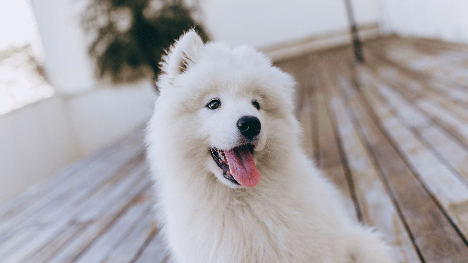 ro – 2025-11-17T172756.978