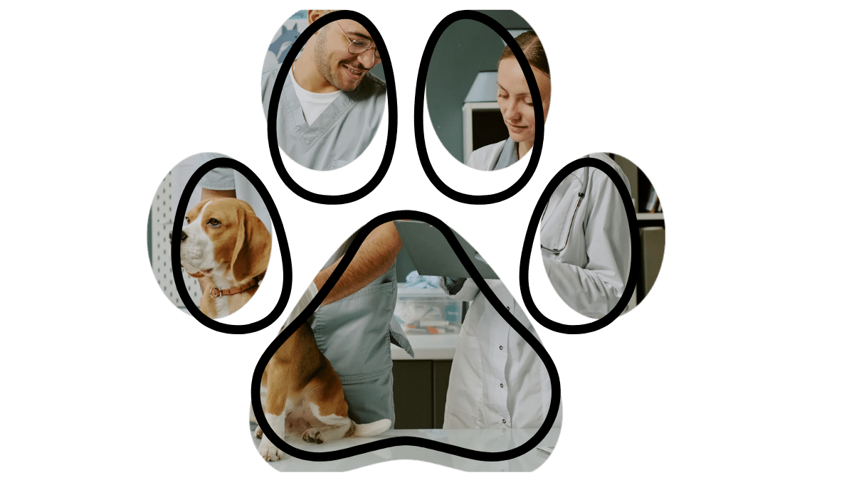 Dog visiting 49th Street Veterinary Clinic in Durant, OK – Vet near me