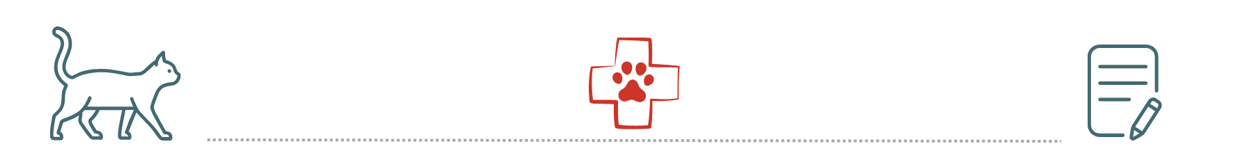 healthy dog supported by pet insurance at 49th Street Veterinary Clinic Durant OK