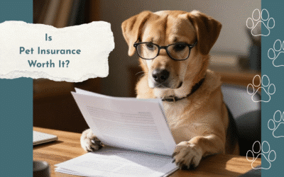 Is Pet Insurance Worth It in Durant, OK?