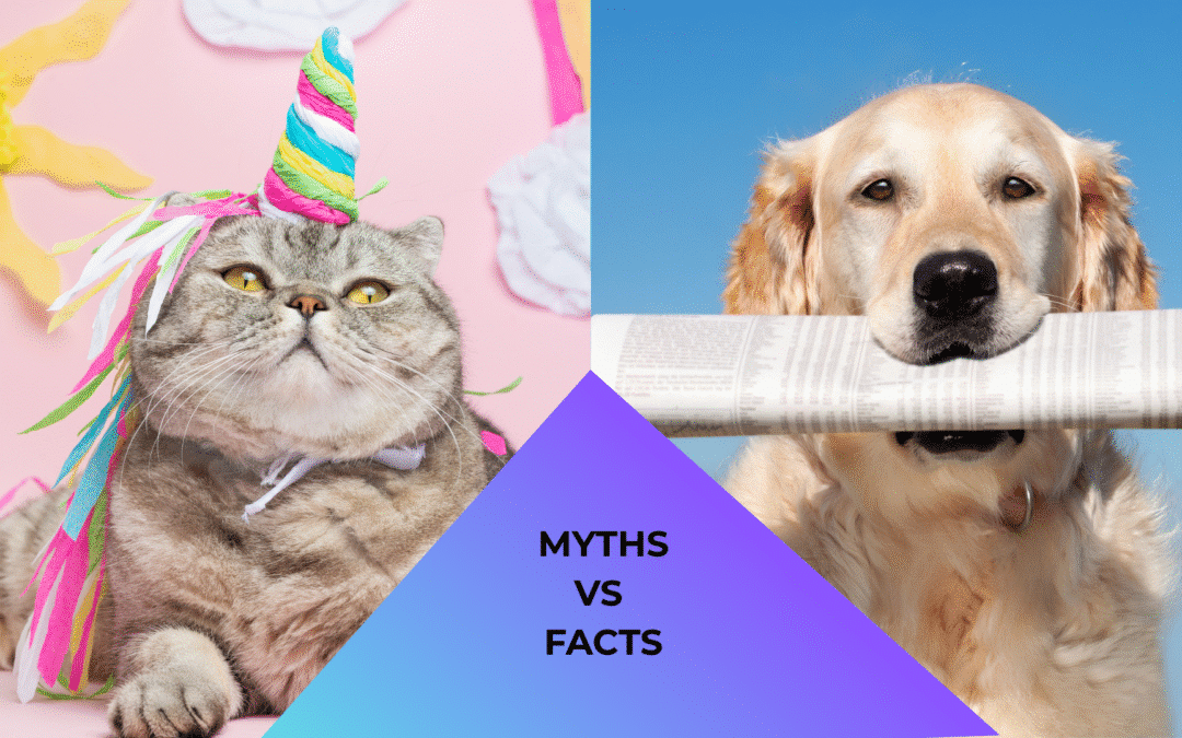 Myths vs Facts About Animal Care